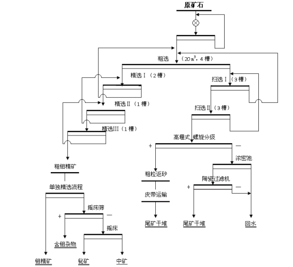 鉬礦選廠選礦工藝流程的分析